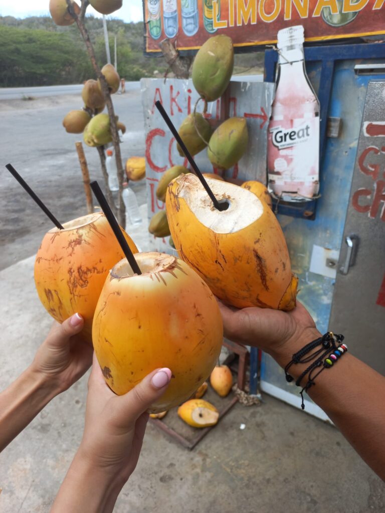 Fresh coconuts